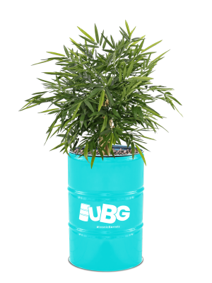 200L Big Botanical RAL